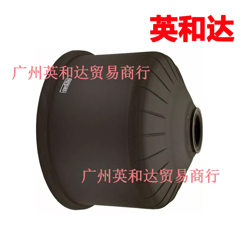 Filter Head with Output Clamp Hayward Dex4820Btc