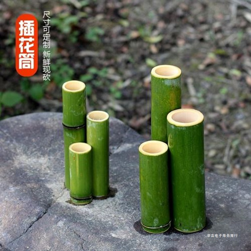 New Bamboo Tube Wedding Wedding Flower Ornaments Landscape Decoration Green Bamboo Natural Floral Decoration Bamboo Pole