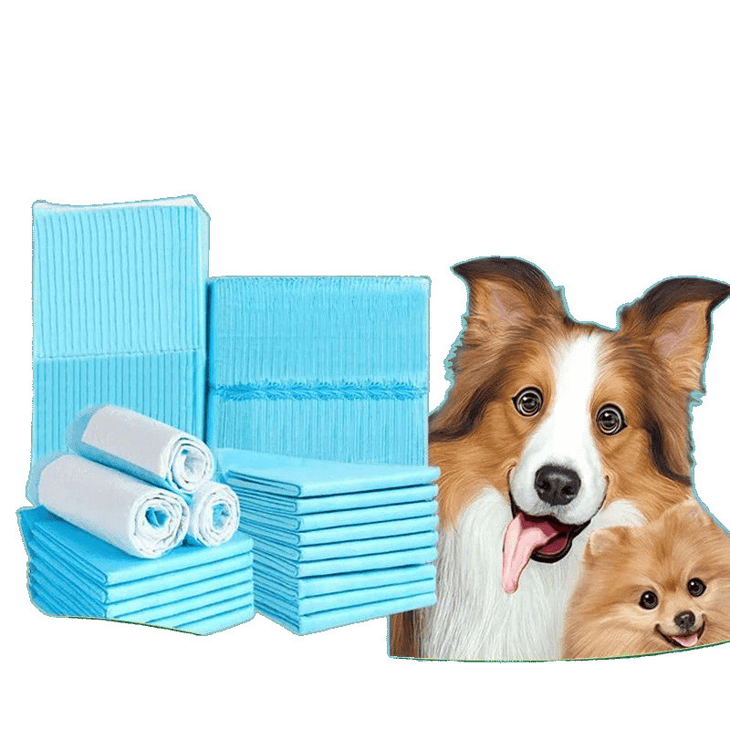 Free Dog Pee Pad Thickened Pet Special Deodorizing Cat Pee Pad Diaper Absorbent Urine Pad