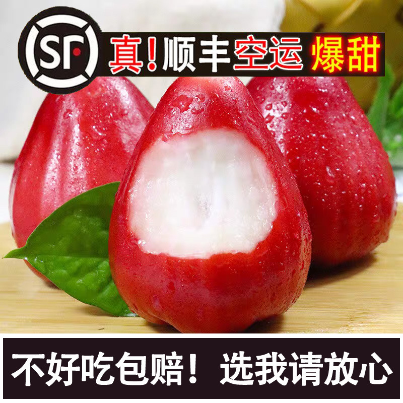 [Sf Air Freight] Authentic Hainan Fresh Black Diamond Lotus Mist Seasonal Alpine Fairy Fruit Large Fruit Gift Box