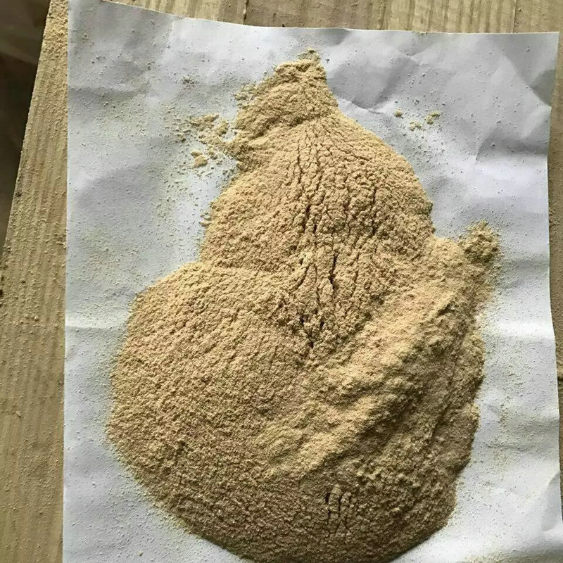 Papermaking Wood Powder, Poplar Wood Powder, Yellow Wood Powder, Papermaking Wood Fiber Wood Powder, Sawdust Powder, Wholesale Powder, Wood Powder for Papermaking