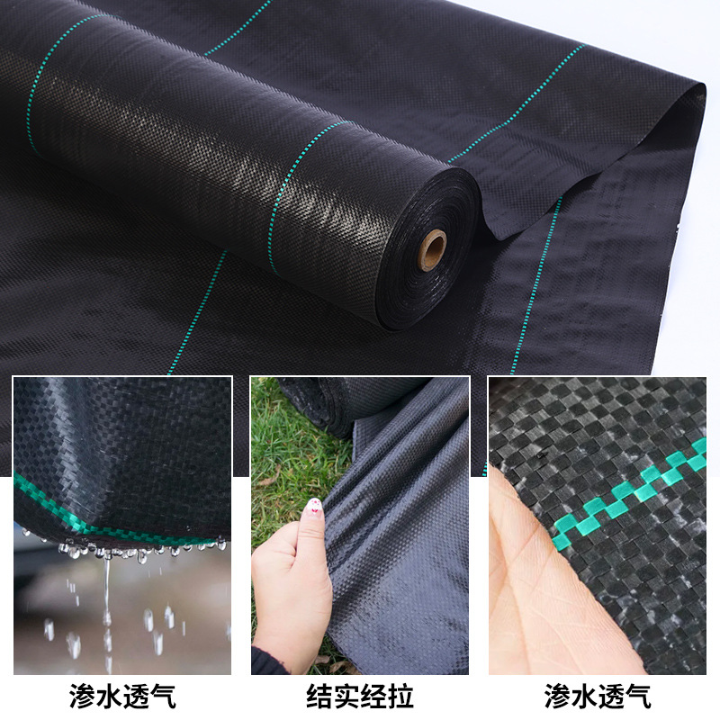 Amazon Grass-Proof Cloth, Anti-Aging Black Grass Cover Cloth, Cross-Border New Material, Gardening Ground Cloth, Orchard Weed-Killing Cloth Wholesale