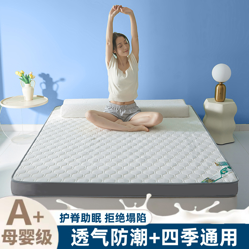 Thickened Latex Mattress for Home Summer Foldable Cool Silk Student Dormitory Single and Double Mattress Floor Mat