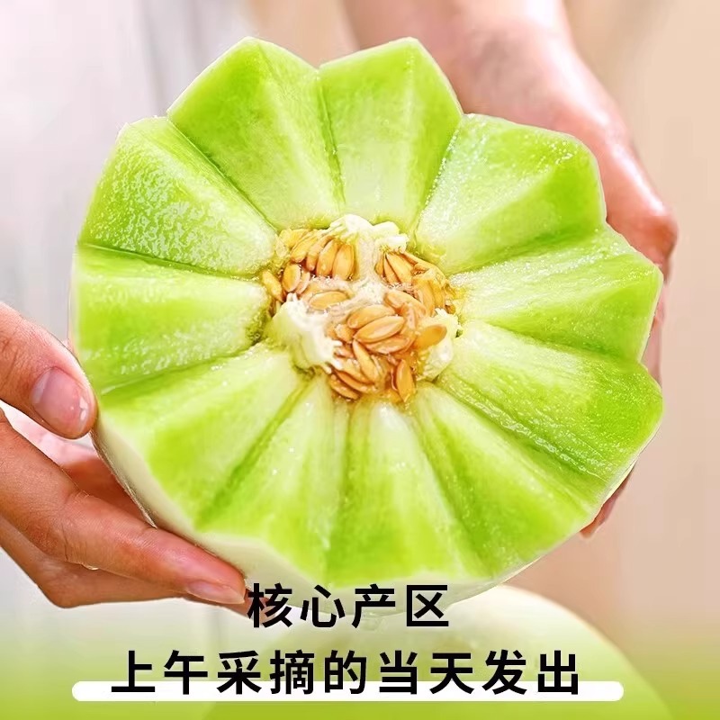Hainan Jade Mushroom Melon Seasonal Fresh Fruit Ice Cream Melon Soft Glutinous Sweet White Melon Thin Skin Emerald