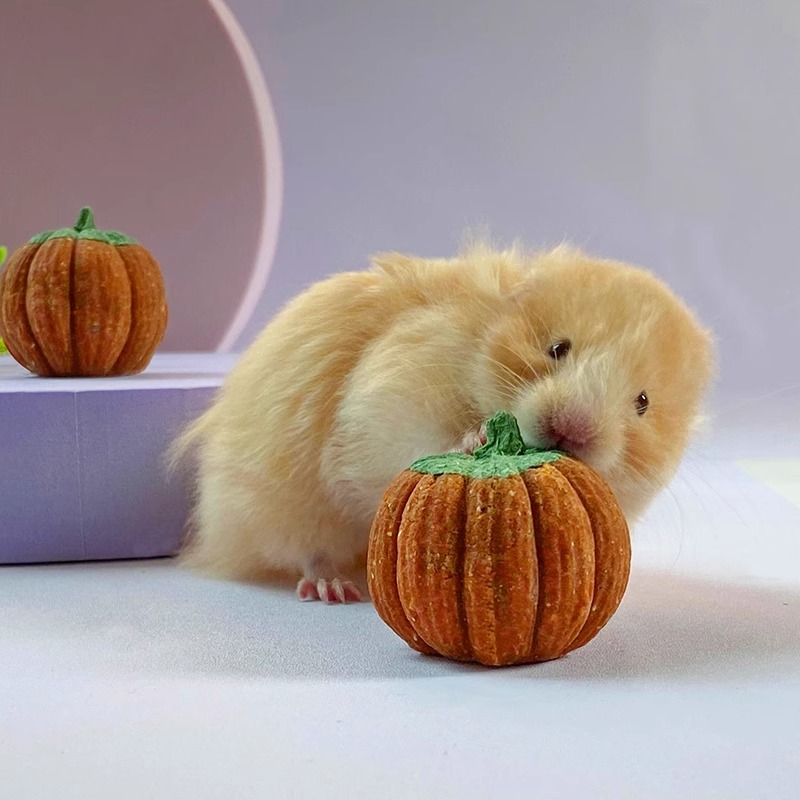 Totoro Molars, Hamster Snacks, Mini Pumpkin Hamster Landscaping Grass Cake Toys, Golden Bears, Rabbits, Handmade Snacks