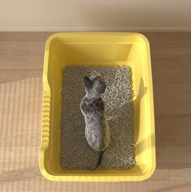 Cat Litter Box small size Thickened Semi-closed Anti-splash Kitten Toilet Household small size Bathtub New Cat Litter Box Wholesale