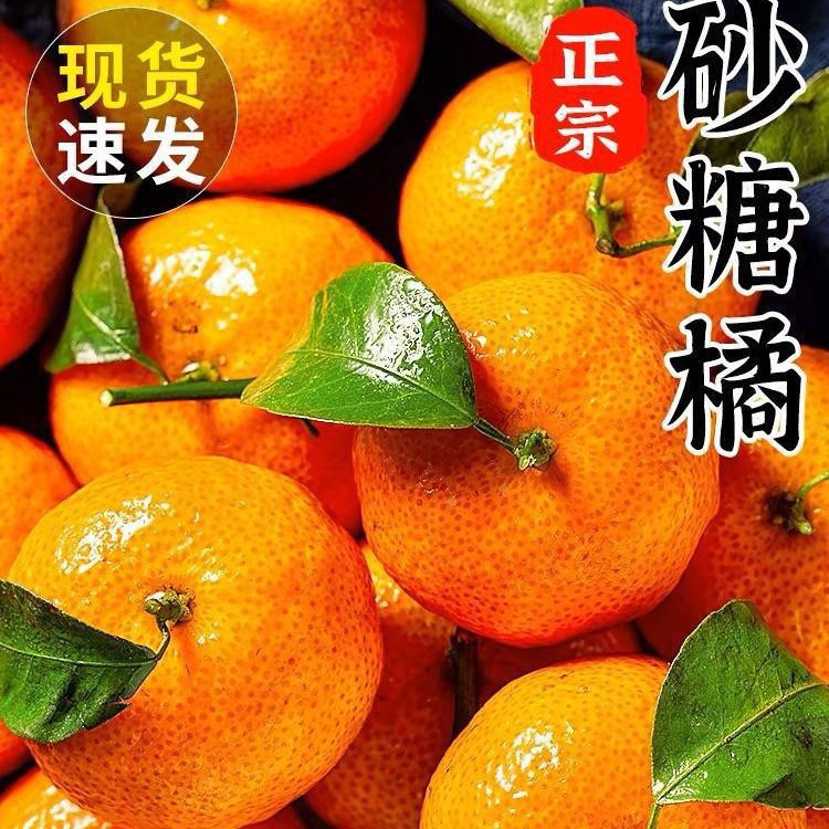 Аутентичные свежие сахарные мандарины из Гуанси, 5кг, сезонные, золотая осень, целая коробка, бесплатная доставка