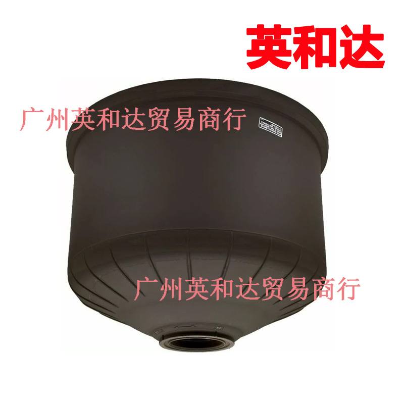 Filter Head with Output Clamp Hayward Dex4820Btc