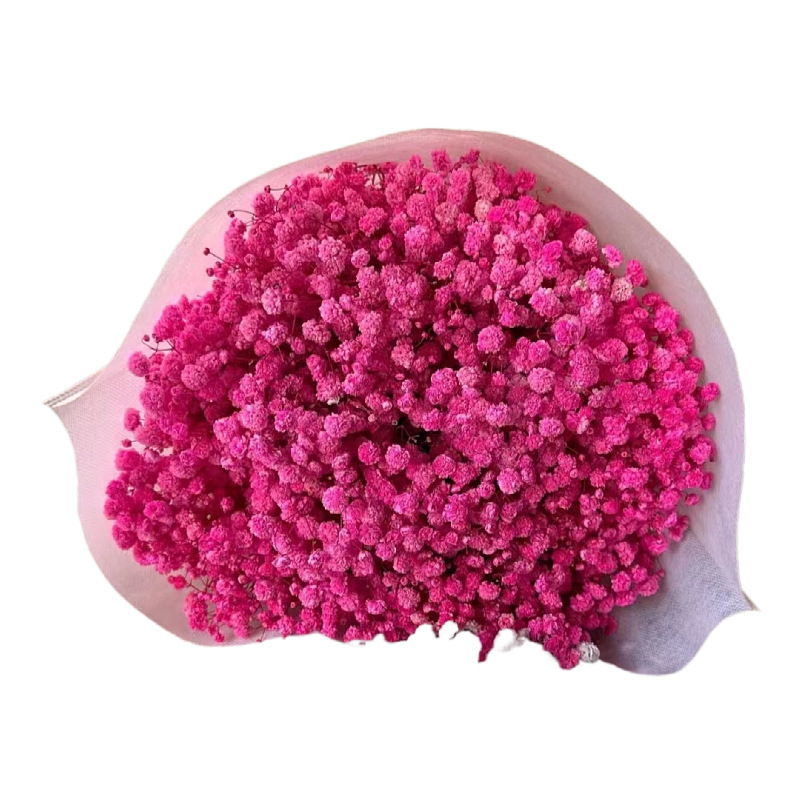 Gypsophila Eternal Flower Dried Flower Bouquet Yunnan Factory Direct Sales Handmade DIY Wholesale Cross-Border Flowers Hot Selling