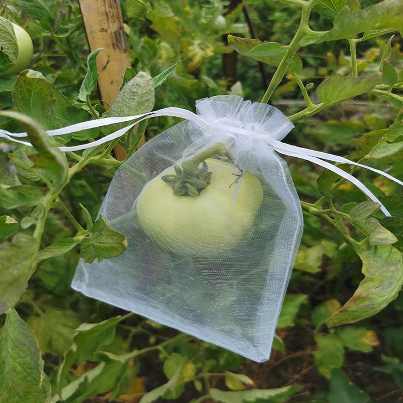 Fruit Bagging Breathable Light Transparent Bird and Insect-proof Mesh Bag Grape Strawberry Fig Pomegranate Protective Beam Mouth Bag