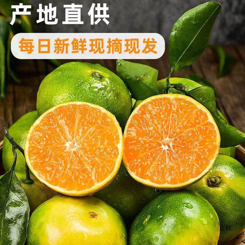 Yunnan Seedless Tangerines 5kg Fresh Fruits for Pregnant Women Seasonal Oranges Citrus Oranges Tangerines Whole Box Green Green Skin