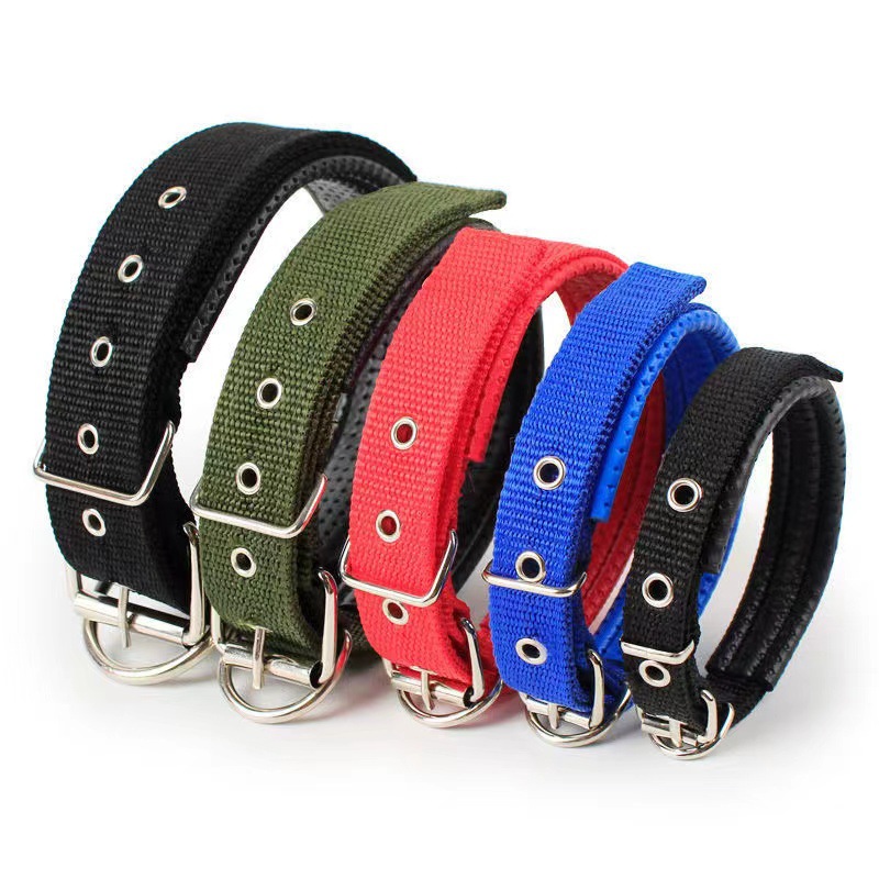 Pet supplies wholesale dog cat collar with foam dog collar dog collar anti-pinch fur pet traction dog collar