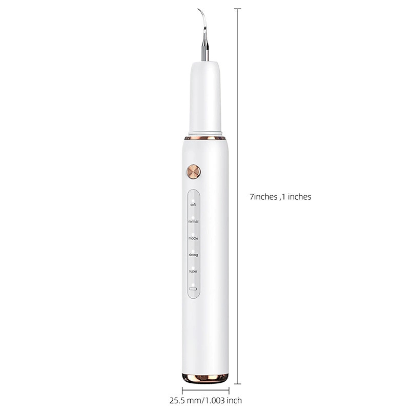 Factory cross-border ultrasonic dental scaler to remove tartar and remove tartar beauty instrument moon curved ultrasonic dental scaler