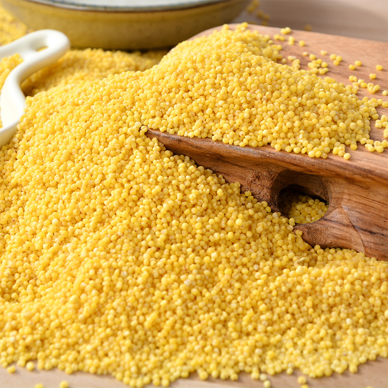 Inner Mongolia Chifeng Aohan District Huanggong Millet New Rice Fragrant Soft Glutinous Breakfast Porridge Rice Whole Grains Coarse Grains