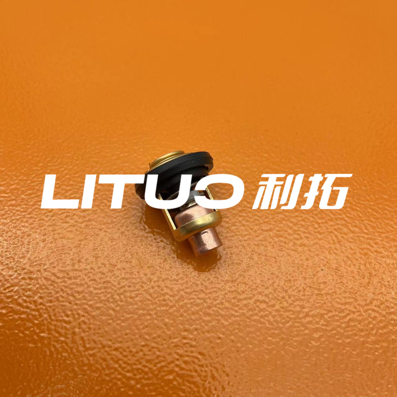 5005440 Thermostat Thermostat