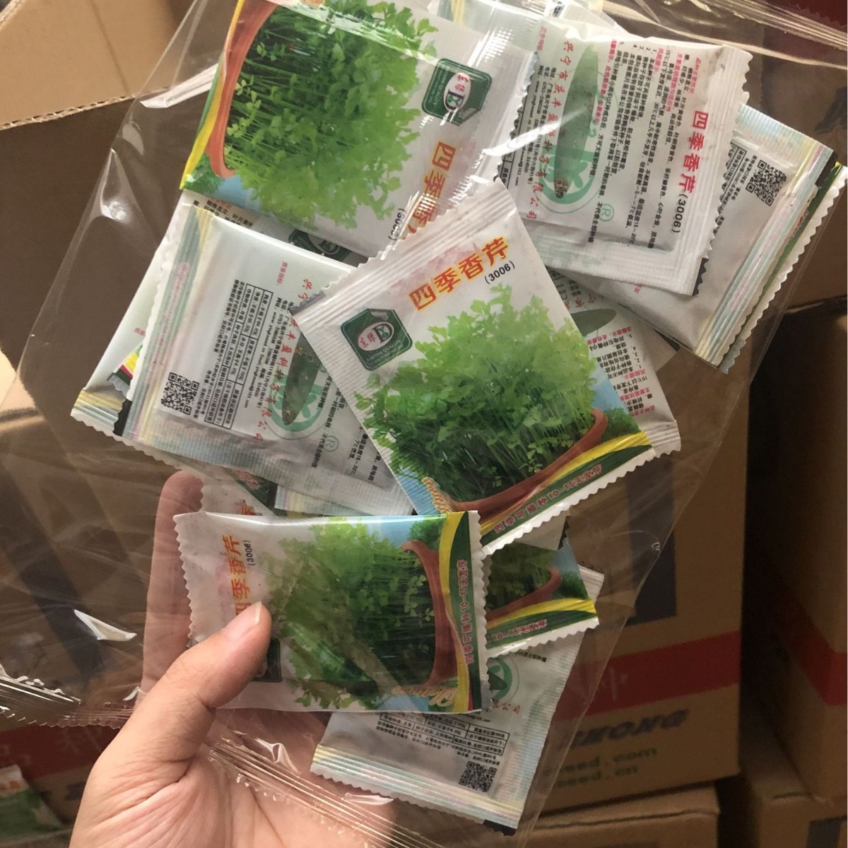 Flower Shop Drainage Supplies [6.5×8.8cm Mini Packaging] Wholesale of 30 Bags of Vegetable Seeds of Your Choice