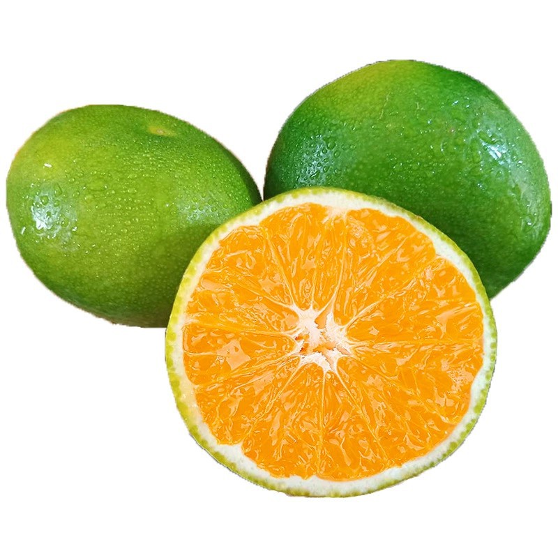 【New Fruit】Hubei Seedless Honey Tangerines Wholesale 1.5kg Fresh Sweet and Sour Green-Skinned Tangerines Seasonal Fruit