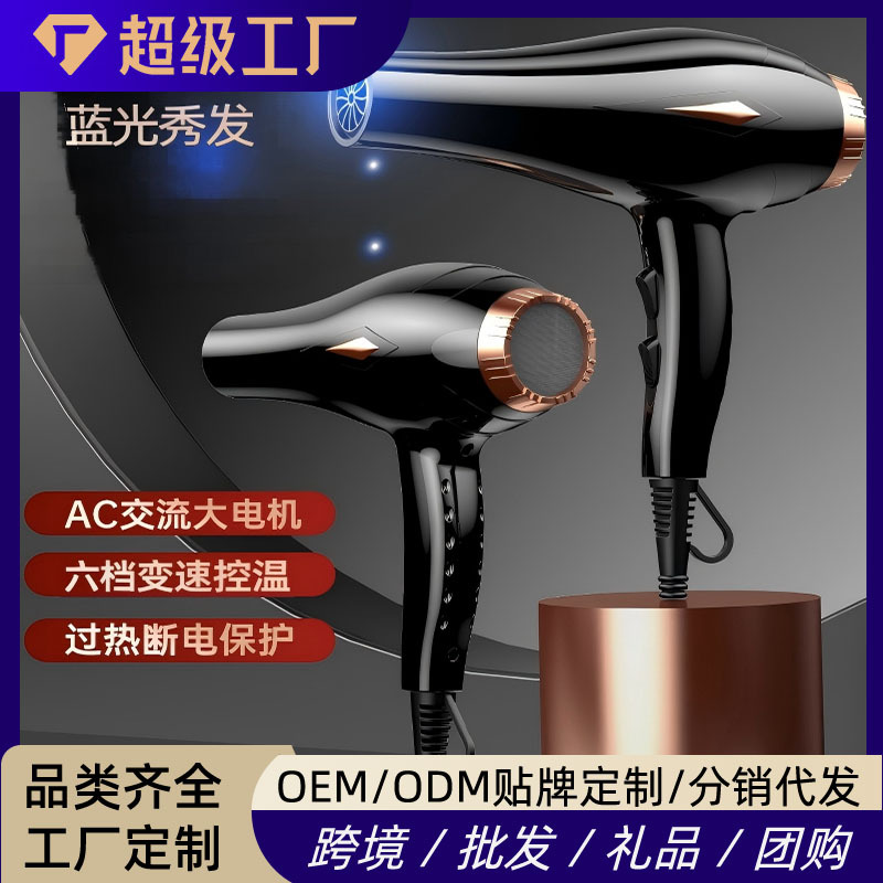 Hair Dryer with High Power for Barber Shop, Home Hair Salon, Hair Blowing, Student Dormitory 800W Blue Light Hair Dryer