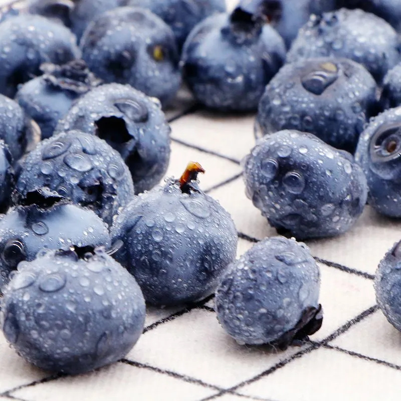 Shandong Alpine Blueberry Fresh Fruit Fresh Picked Fruit Sf Free Shipping Seasonal Fresh Picked Blueberries Drop Shipping