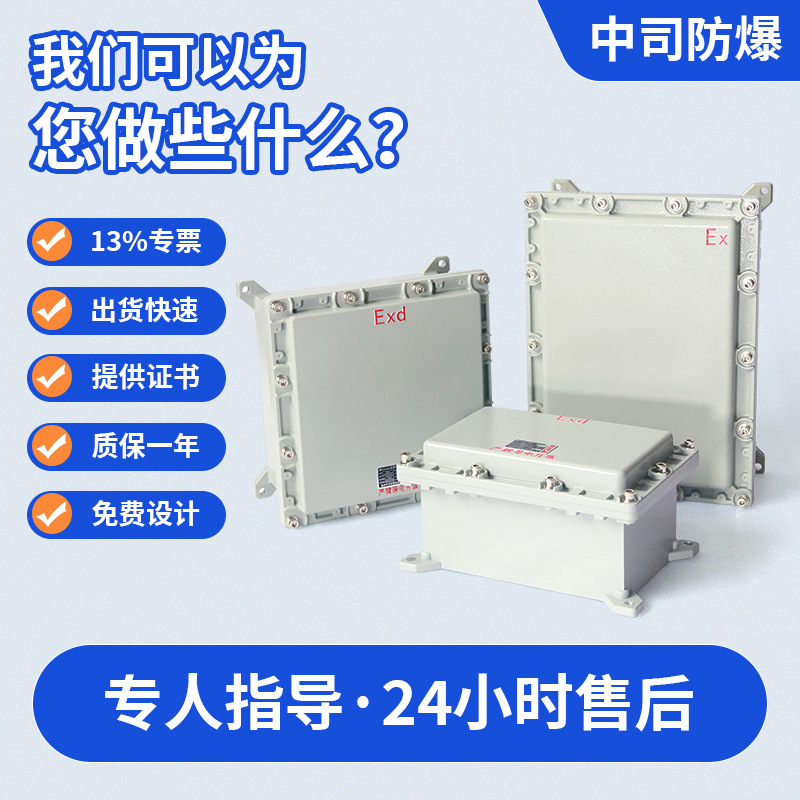Dust Explosion-Proof Junction Box, Safety Terminal Box, Dust-Proof Cast Aluminum Waterproof Explosion-Proof Lighting Distribution Box, Maintenance Box Manufacturer