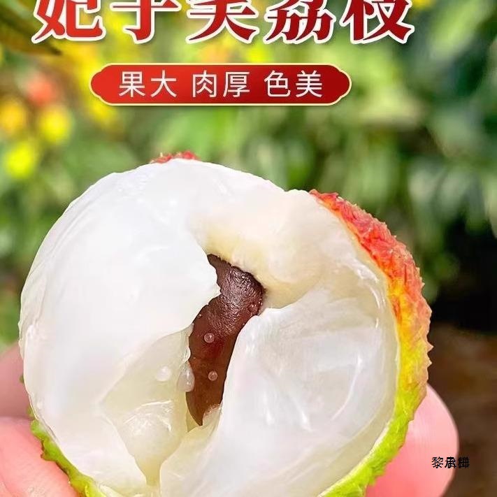 Frozen Sleeping Fresh Lychee Hainan Feizixiao Lychee Ultra-Low Temperature Frozen Locked Fresh Fruit Sf Free Shipping 0
