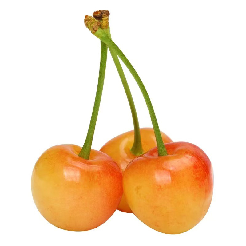 Shandong Yellow Cherry Open-air Yantai Citrine Yellow Honey Gold Rainey Cherry 5 Fruit Fresh