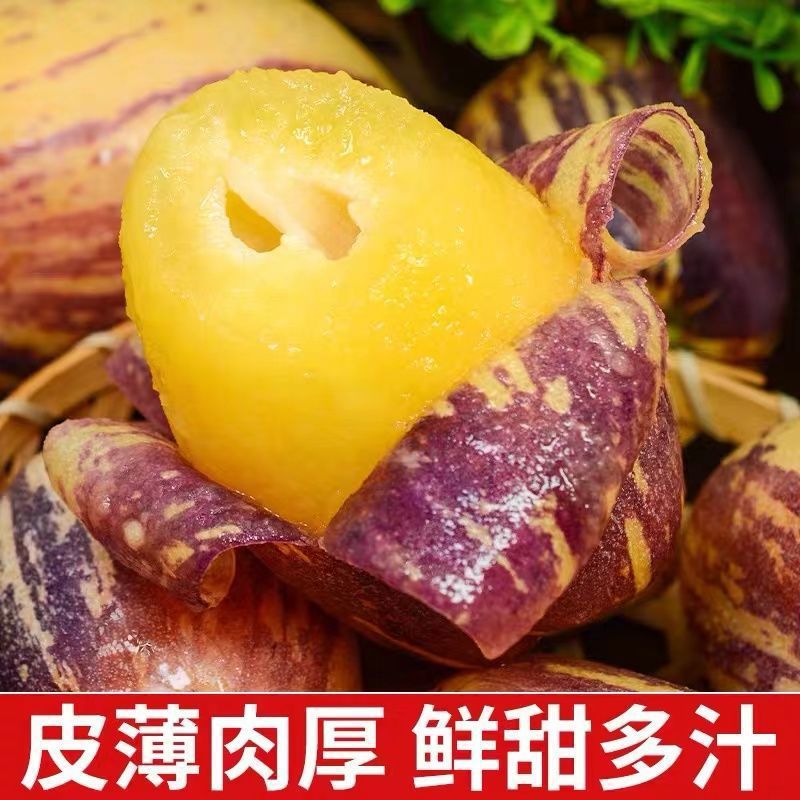 Gansu Minqin Ginseng Fruit Extra Large Fruit 5kg Yellow Flesh Ginseng Fruit Long Fruit Round Fruit Fresh Fruit Wholesale Price