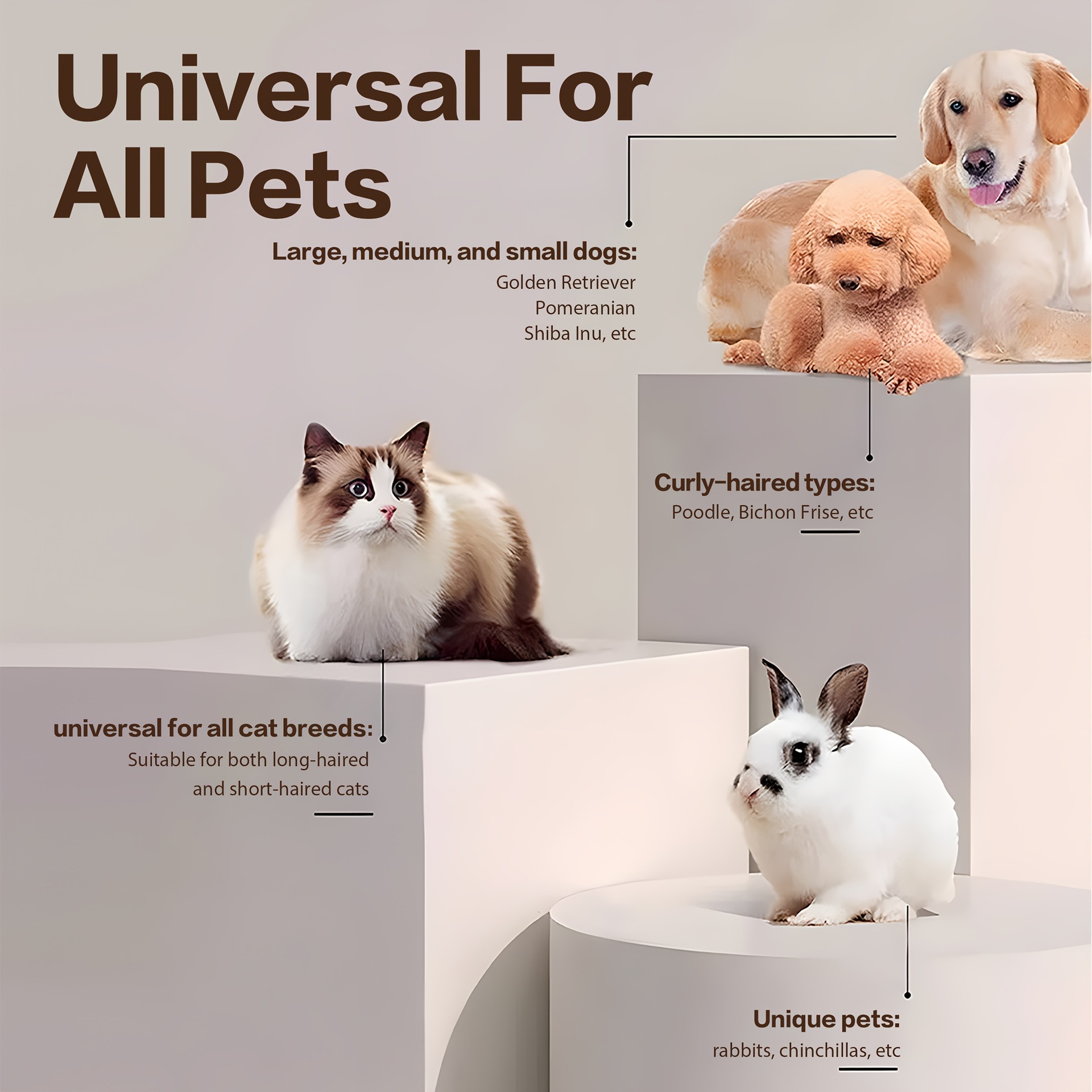 2025 New Cross-Border Dropshipping 2025 Pet Paw Trimmer Rechargeable Silent Cross-Border Cat and Dog Supplies