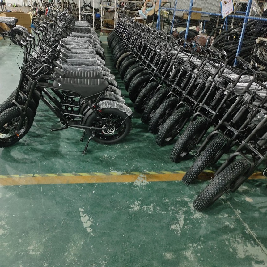 Ebike Snow Lithium Battery Bicycle Electric Bicycle 48V500W Fat Tire Beach Super73 Off-Road