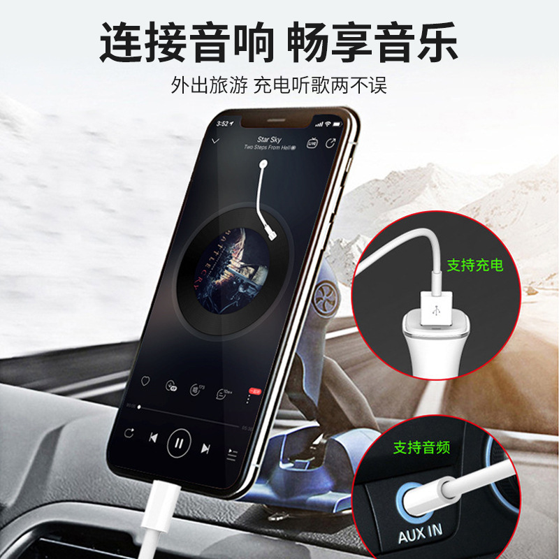 Charging Cable USB to 2.5 Mono Beauty Instrument Vibrator Vibrating Ball Adult Products Charging Cable Manufacturer Wholesale