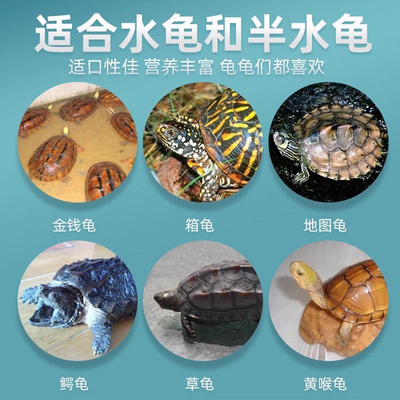 Dingzu High Protein Turtle Feed Big Turtle Small Turtle Food Brazilian Tortoise Tortoise Water Turtle Floating Particles Turtle Food