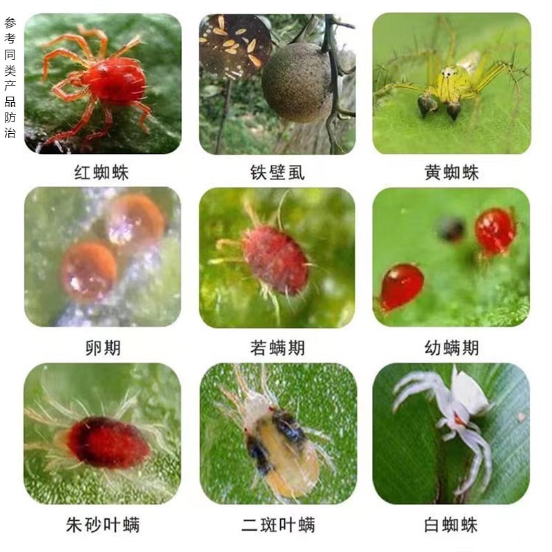 Red Spider Avida Acaricide Wheat Insecticide Avida Acaricide Insecticide Vegetable and Fruit Tree Acaricide