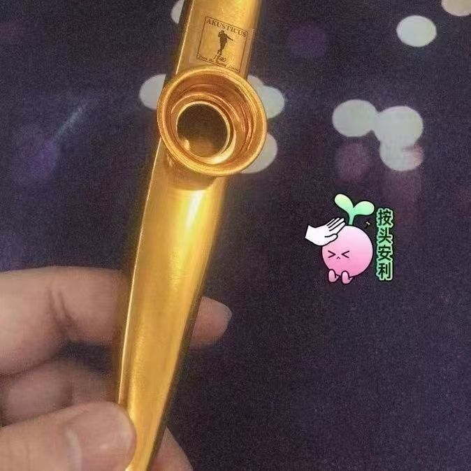 Kazoo Professional-Grade Loud Kazoo, a Metal Instrument That Beginners Don'T Need to Learn, Comes with a Kazoo Membrane
