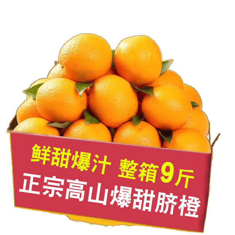 Orange Jiangxi Gannan Variety Navel Orange 5kg Fresh Fruit Seasonal Whole Box Authentic Juicing Jelly Orange Rock Sugar Sweet