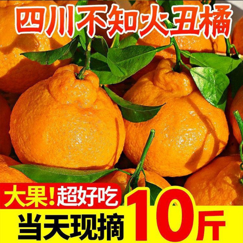 Ugly Tangerine Sichuan Rake Mandarin Shiranui Fresh Fruit Orange Super Sweet Daddy Mandarin Non-Woman Mandarin Wholesale