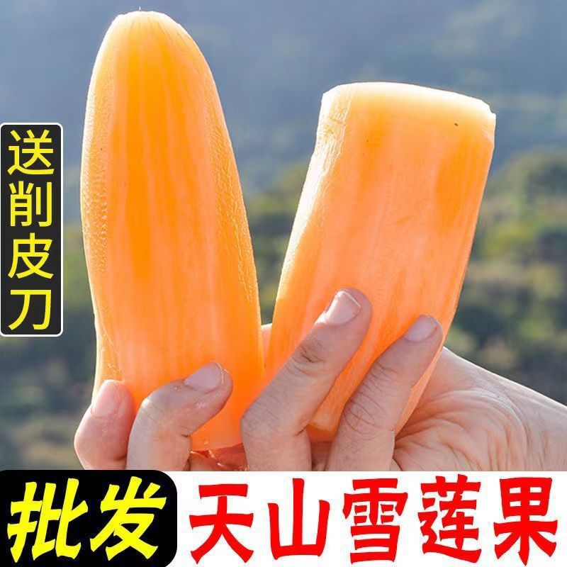 [Slender Fruit] Yunnan Tianshan Snow Lotus Fruit Fresh Fruit Whole Box Red Heart Pregnant Women Snow Lotus Yellow Heart