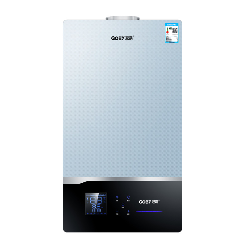 Gas wall-mounted boiler Natural gas Home heating Heating Bath dual-purpose water heater Condensing primary energy efficiency boiler