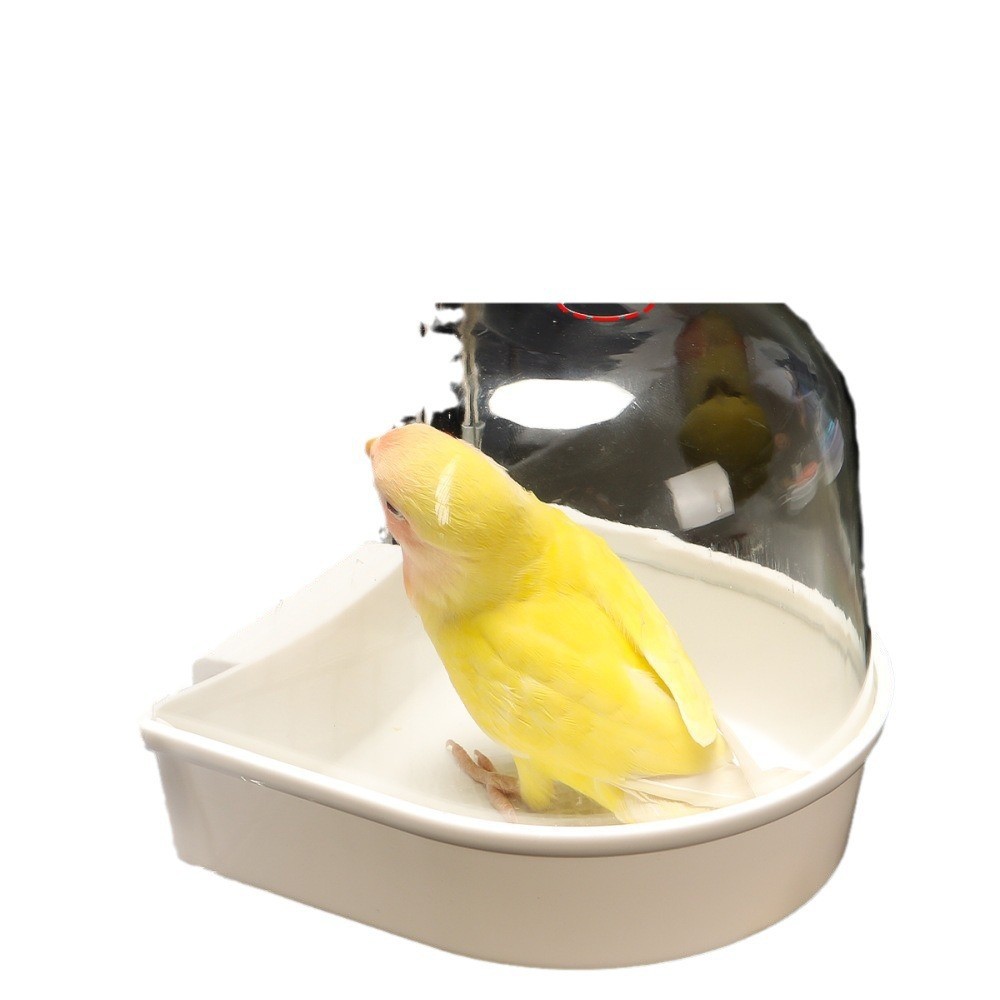 Bird bath box tub bird bath starling xuanfeng peony budgerigar supplies toy large size