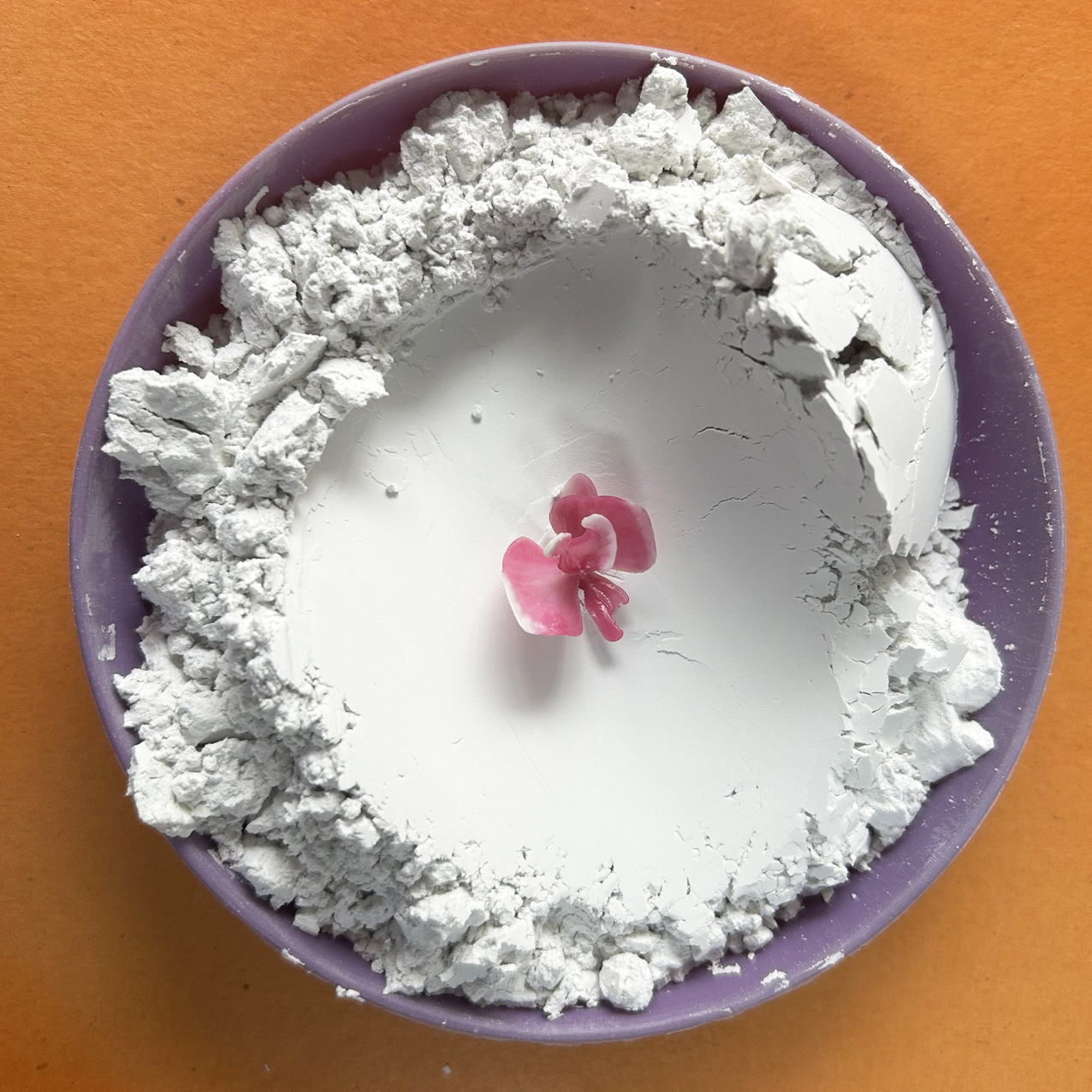 Diatomaceous Earth Powder Coating Water Treatment Filter Agent for Adsorption and Decolorization of Impurities, Direct from Manufacturer for Water Treatment Use