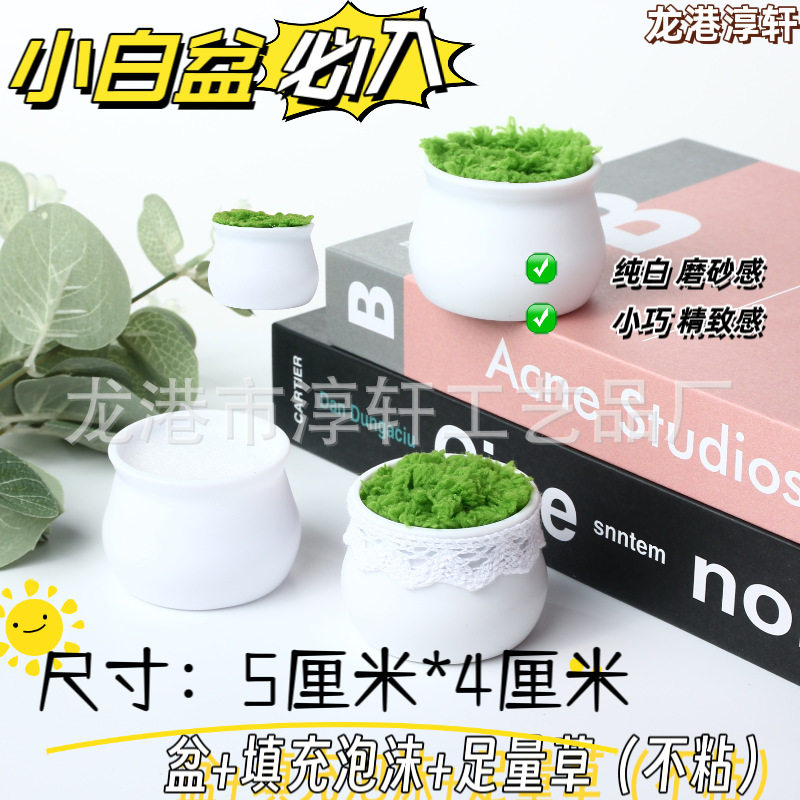 Factory Direct Plastic Flower Pot Simple Round Bonsai Anti-fall Mini Flower Pot Wool Twist Rod Simulation Small Flower Pot