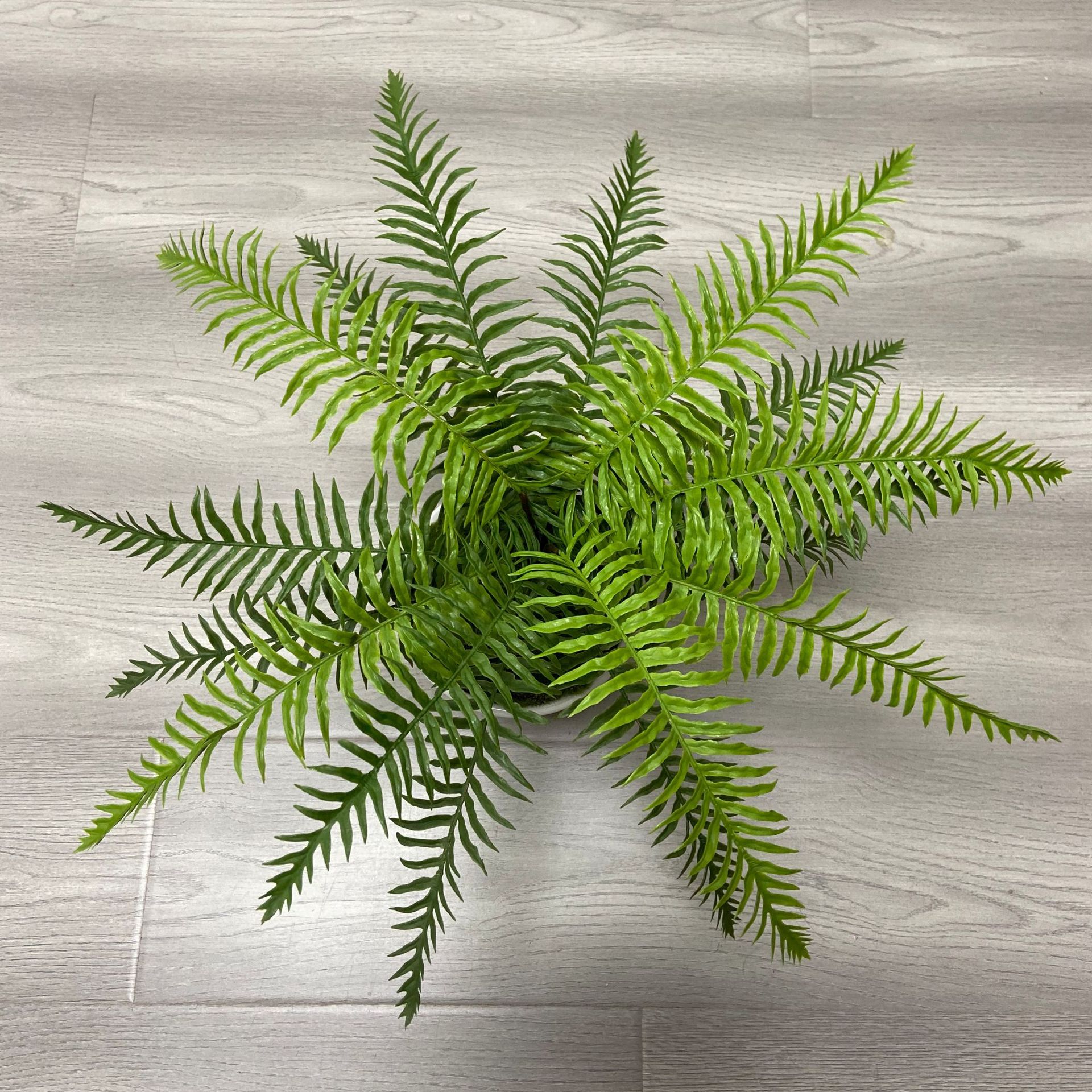 Wholesale High Imitation Persian Fern Grass, Various Styles of Grass Rows, Green Tiandong Landscape Plants, Fern Grass Leaves