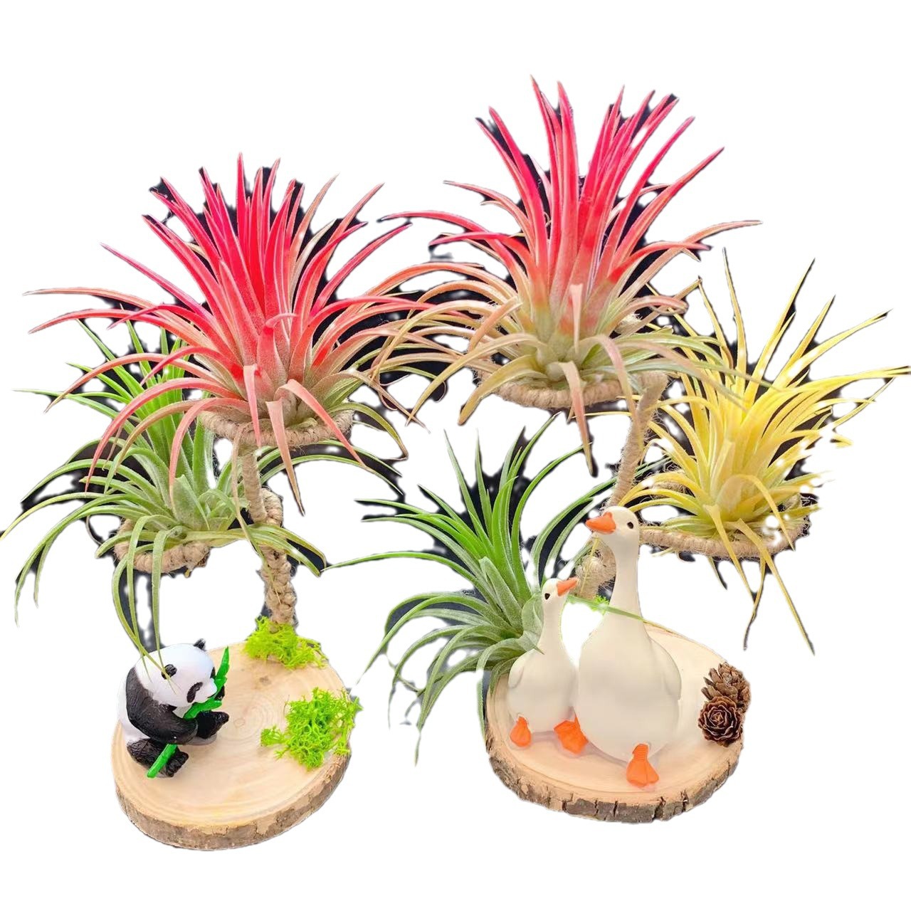 Air Pineapple Base Straight Hair Table Setting Various Plant and Accessories Combinations Holiday Souvenirs Small Gifts
