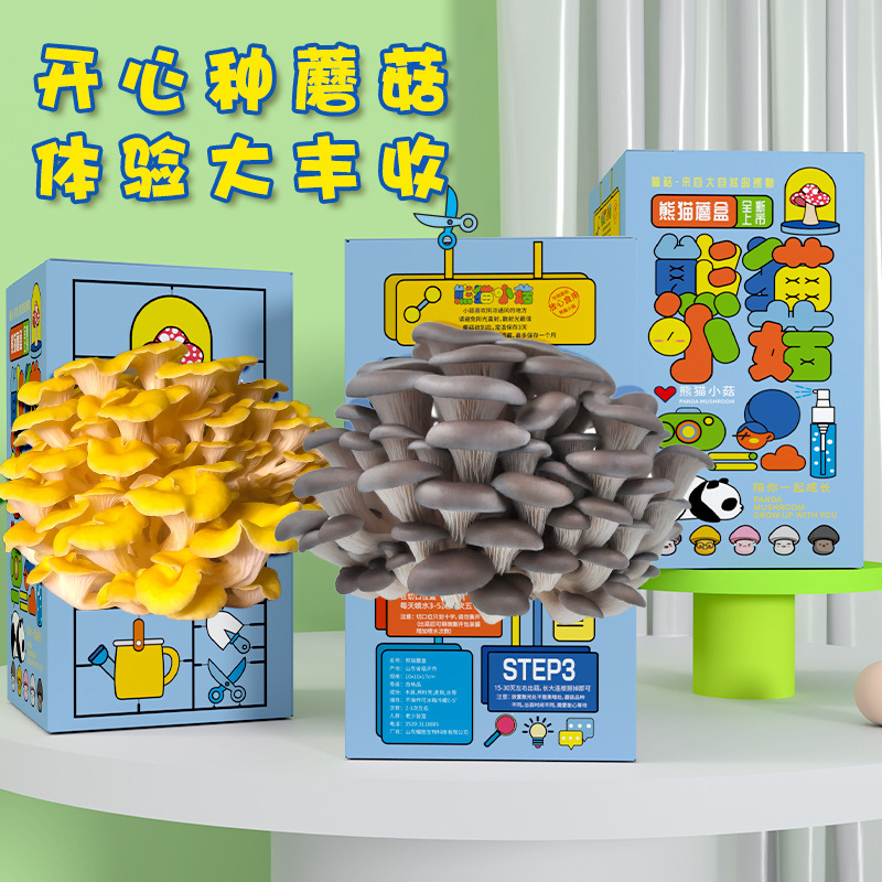 Бесплатная доставка подарочного набора грибов, пакет для посадки устрицы, кукла съедобного гриба, зеленое растение, коробка для разведения в детском саду.