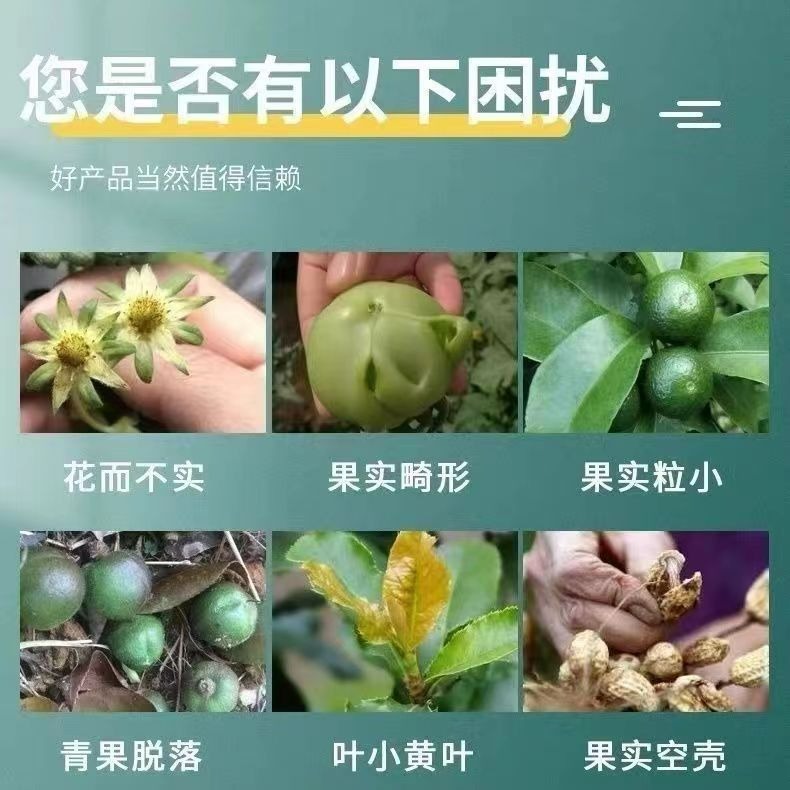 Granular Boron Trace Element Slow-Release Fertilizer for Vegetables, Fruits, Florals and Green Plants, Potted Gardening General Fertilizer, Factory Direct Supply