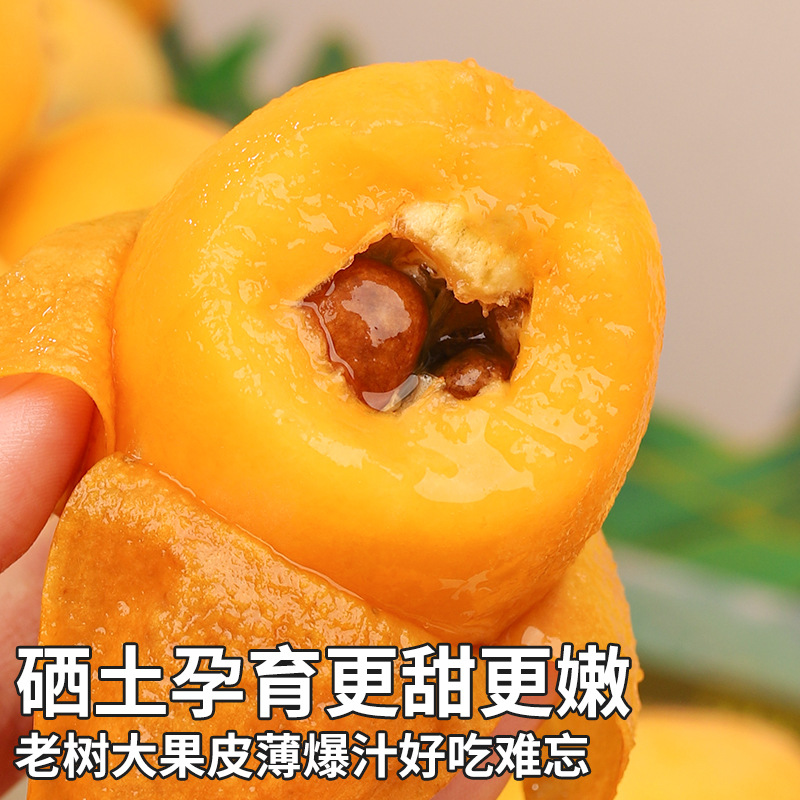 Sf Express Extra Large Fruit 4.5kg Yunxiao Loquat Fresh Fruit Whole Box Pipa Loquat Sweet Seasonal Gift Box