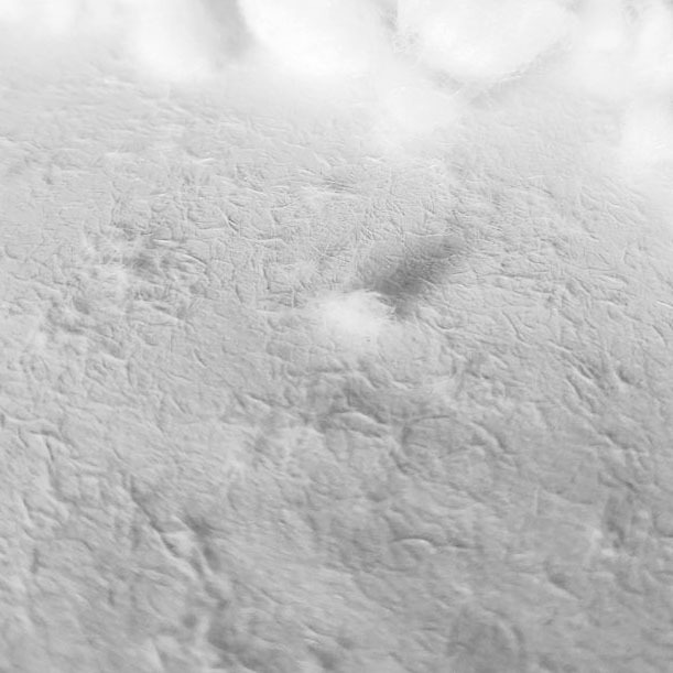 Spot Wood Pulp Fiber, Cellulose Fiber, Environmentally Friendly and Degradable Mascara Fiber, Eyelash Grafting Fiber