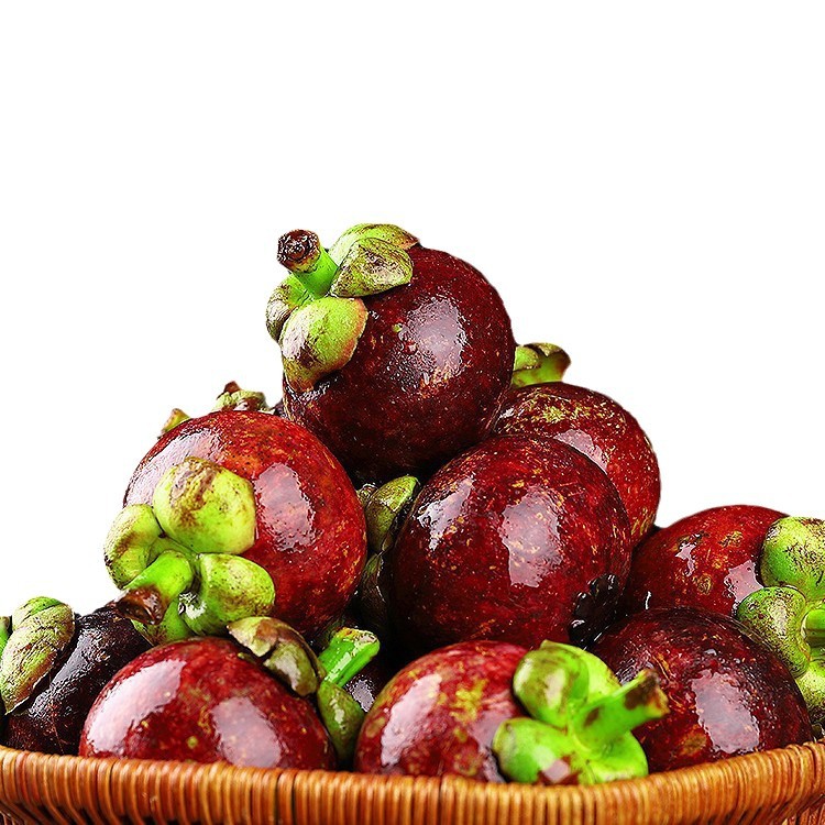 Taishan Bamboo Fresh Big Fruit 2.5kg Seasonal Tropical Fruit Whole Box Pregnant Women Seasonal Imported Oil Bamboo 5A Direct Sales