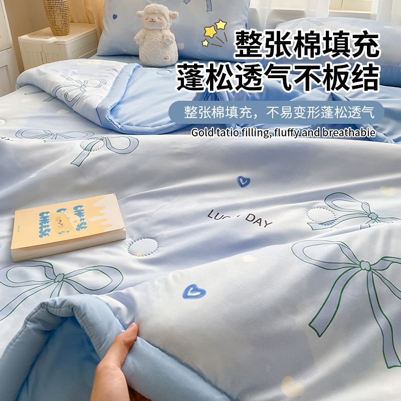 Quilt Air-conditioning Quilt Summer Cool Quilt Household Thin Quilt Core Machine Washable Summer Quilt Dormitory Single Bed Supplies 2025 New Style