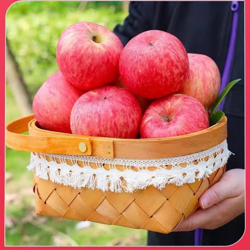 Yantai Red Fuji Apples, Seasonal Fresh Fruit, Whole Box from Qixia, Shandong, Crispy Sweet Rock Sugar Heart, Plain Apples