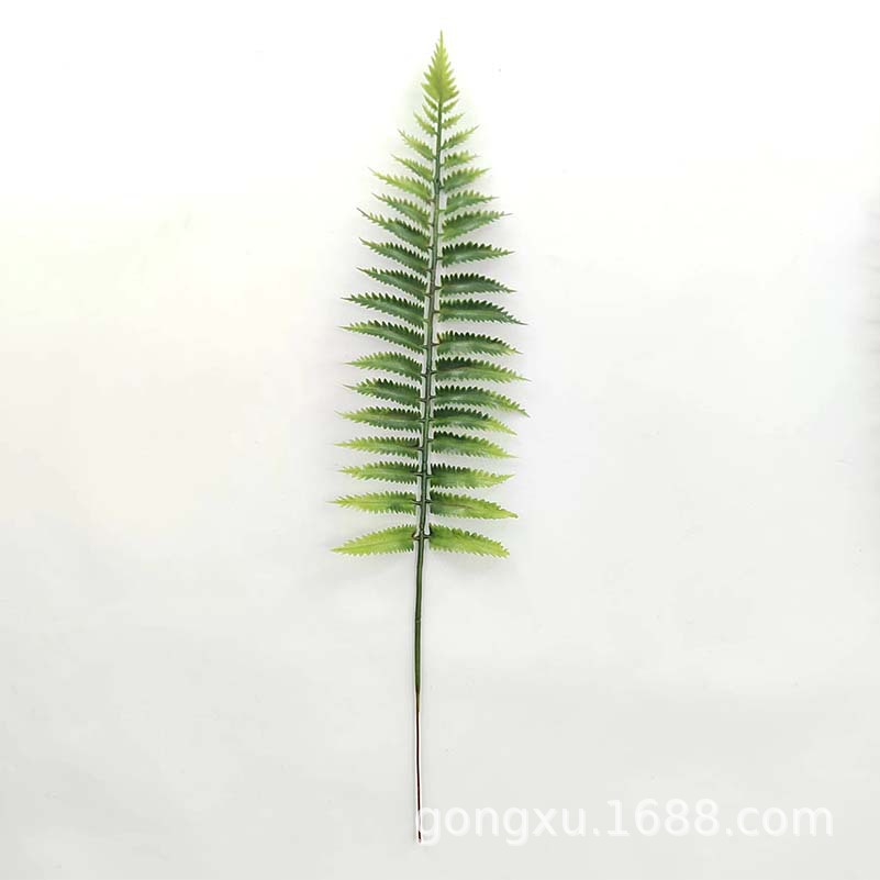Wedding flower arrangement leaf decoration simulation fern supernatural landscaping plane pine large fern leaf long fern leaf